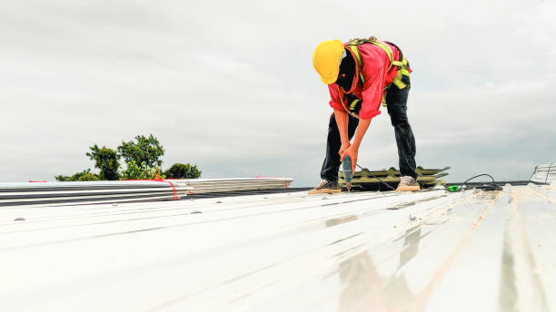 Best Roof Replacement  in Glasgow, MT